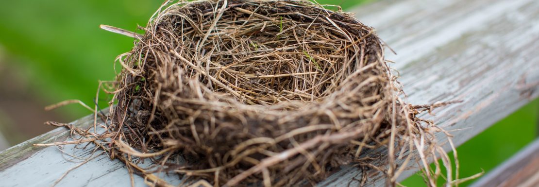 Here are 5 ways to cope with empty nest syndrome
